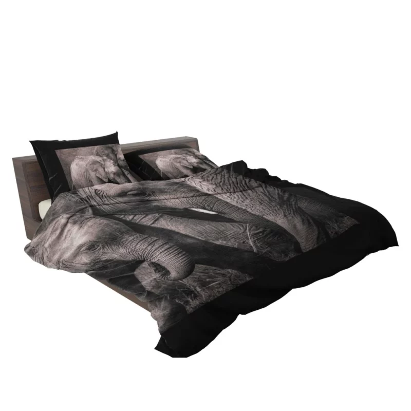 African Bush Elephant Bedding Set 2