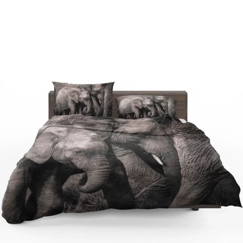 African Bush Elephant Bedding Set