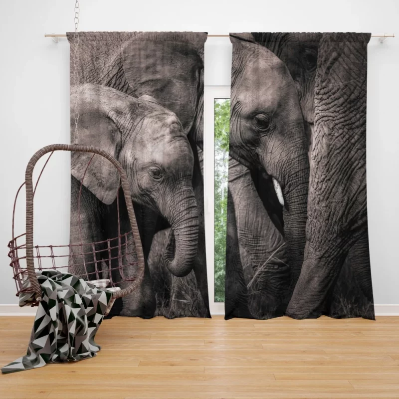 African Bush Elephant Curtain