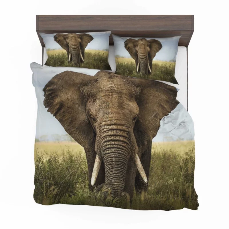 African Bush Elephant Grazing Serenity Bedding Set 1