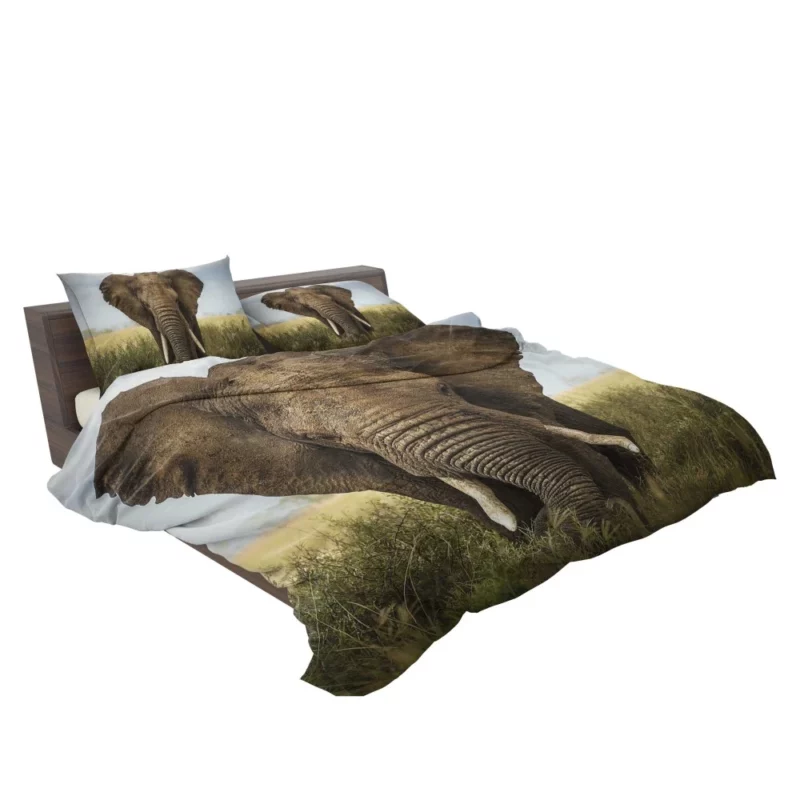 African Bush Elephant Grazing Serenity Bedding Set 2