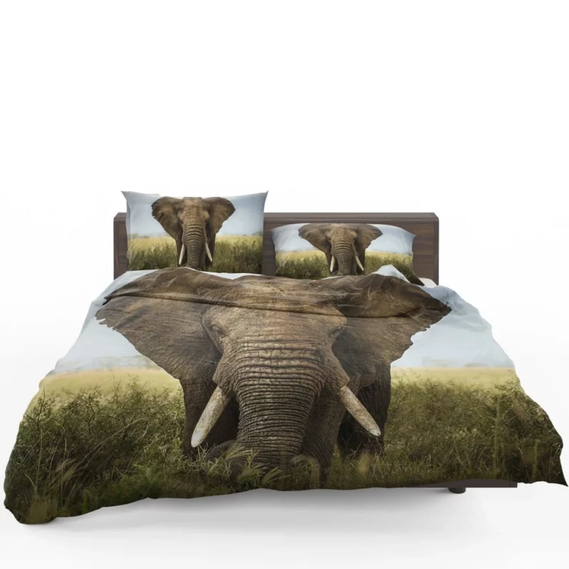 African Bush Elephant Grazing Serenity Bedding Set