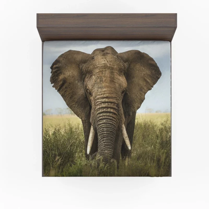 African Bush Elephant Grazing Serenity Fitted Sheet 1