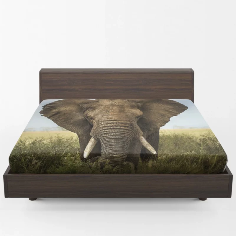 African Bush Elephant Grazing Serenity Fitted Sheet