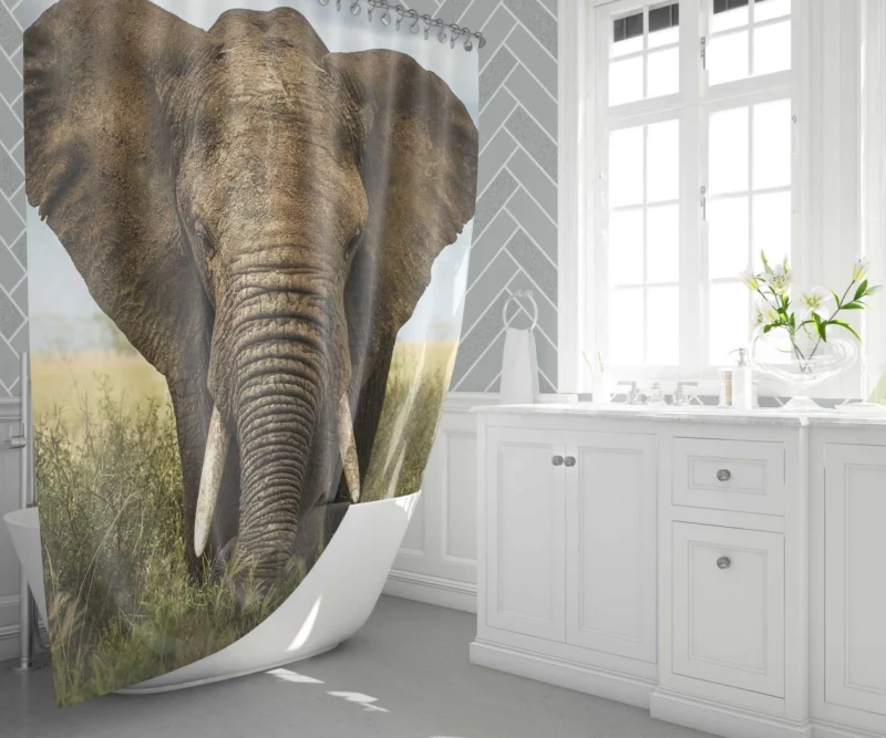 African Bush Elephant Grazing Serenity Shower Curtain 1