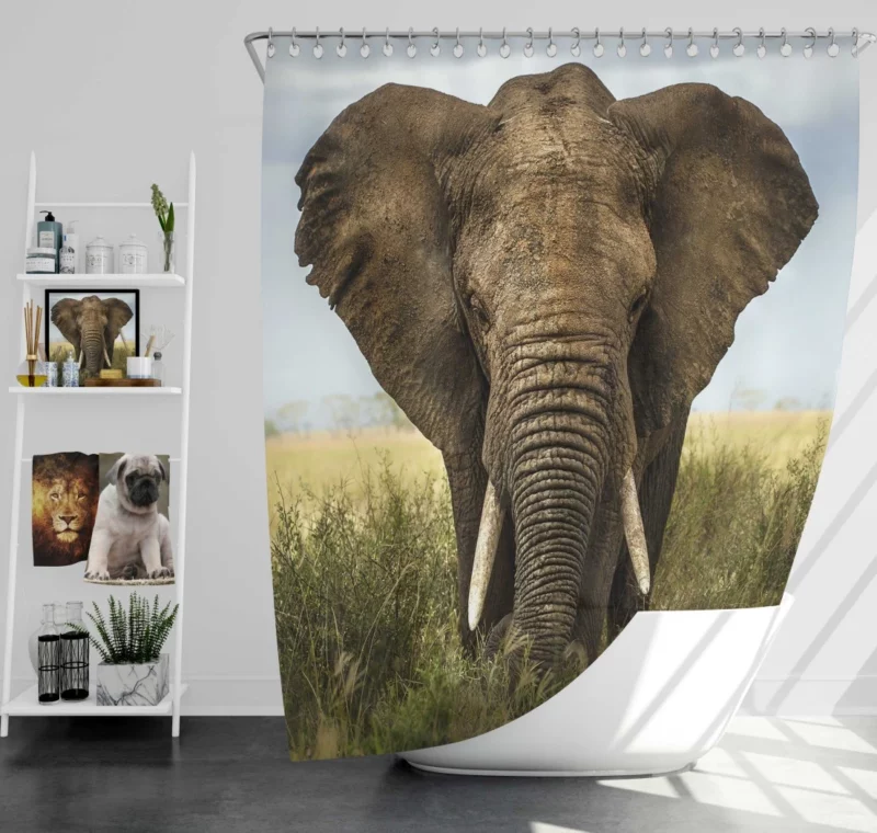 African Bush Elephant Grazing Serenity Shower Curtain