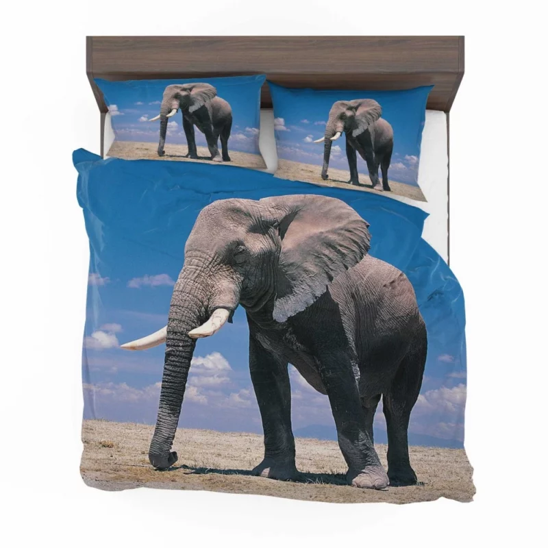 African Bush Elephant Majestic Bedding Set 1