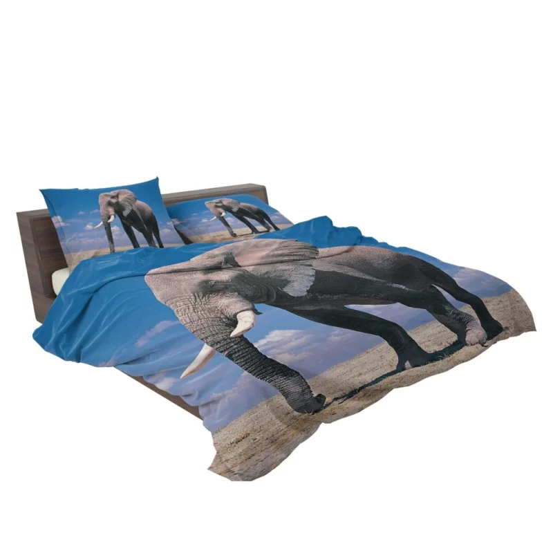 African Bush Elephant Majestic Bedding Set 2