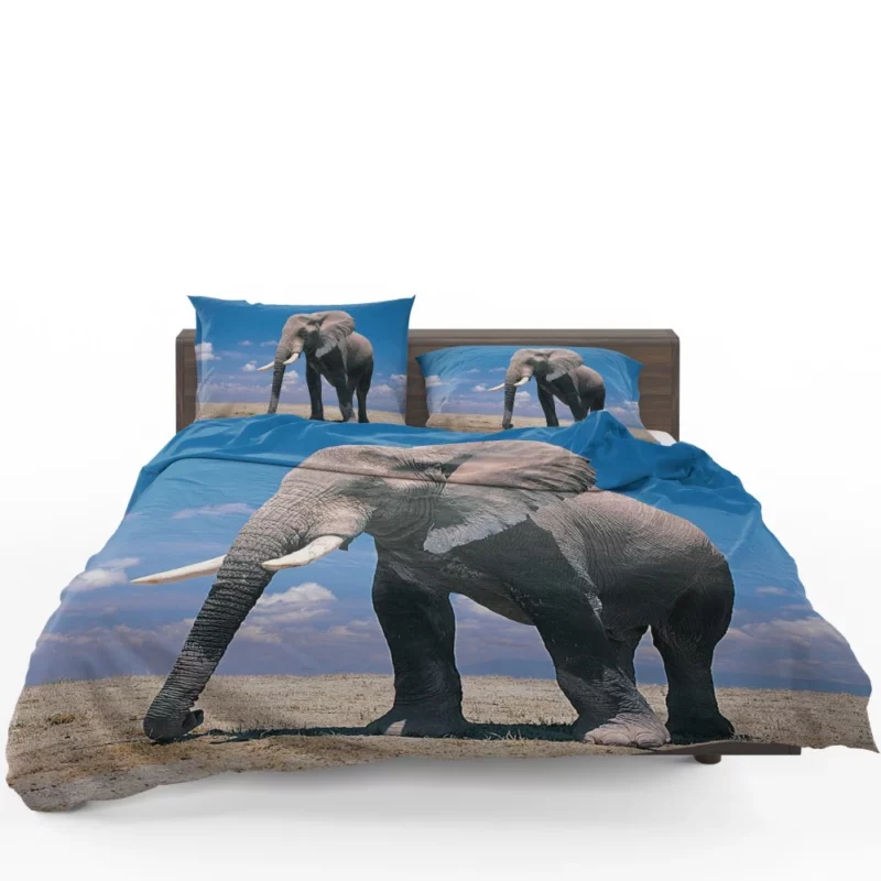 African Bush Elephant Majestic Bedding Set