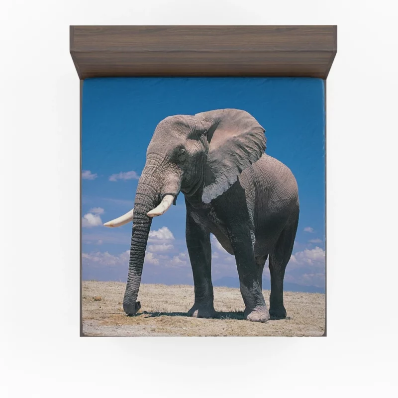 African Bush Elephant Majestic Fitted Sheet 1