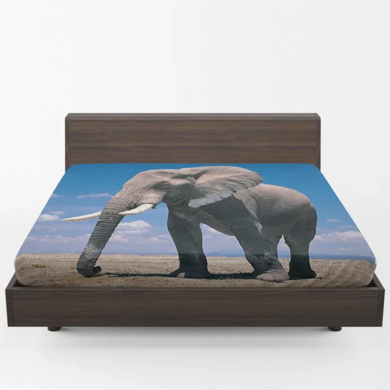 African Bush Elephant Majestic Fitted Sheet