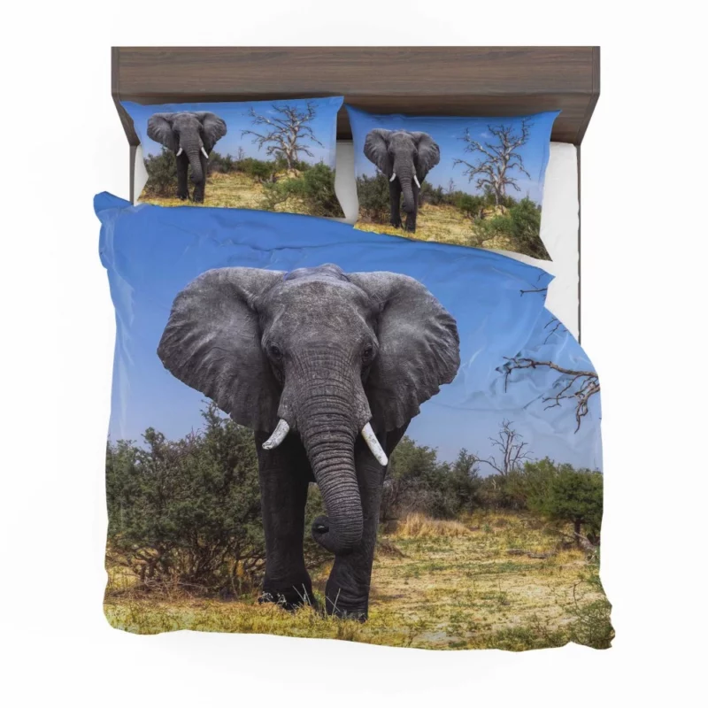 African Bush Elephant Majestic Grace Bedding Set 1