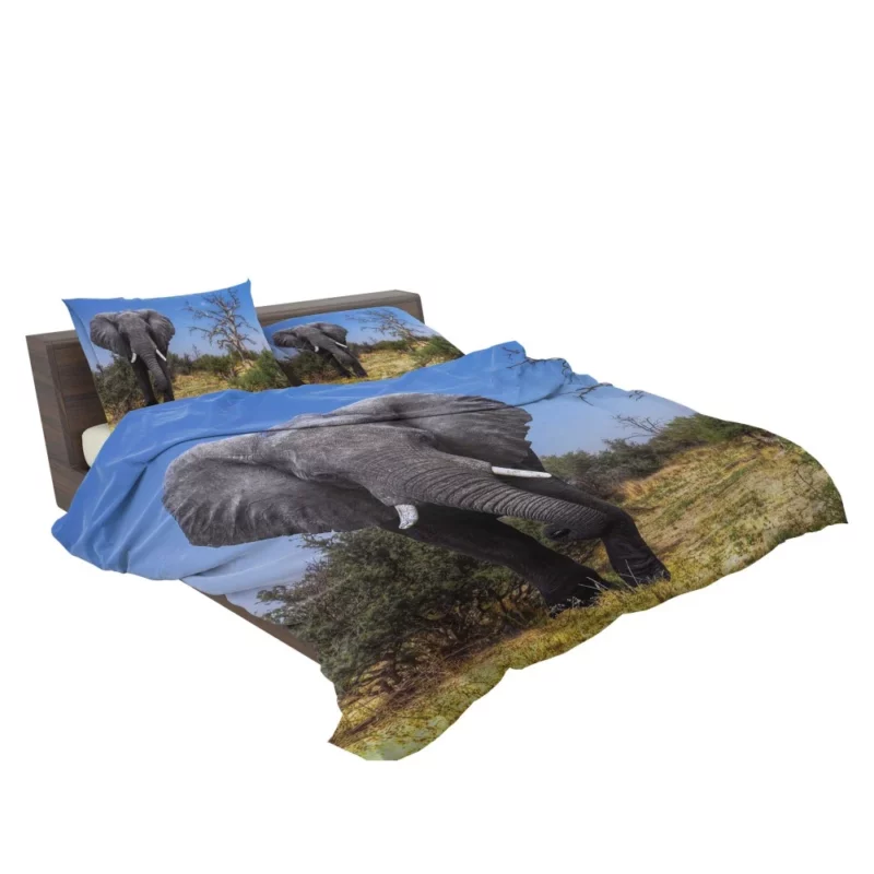 African Bush Elephant Majestic Grace Bedding Set 2