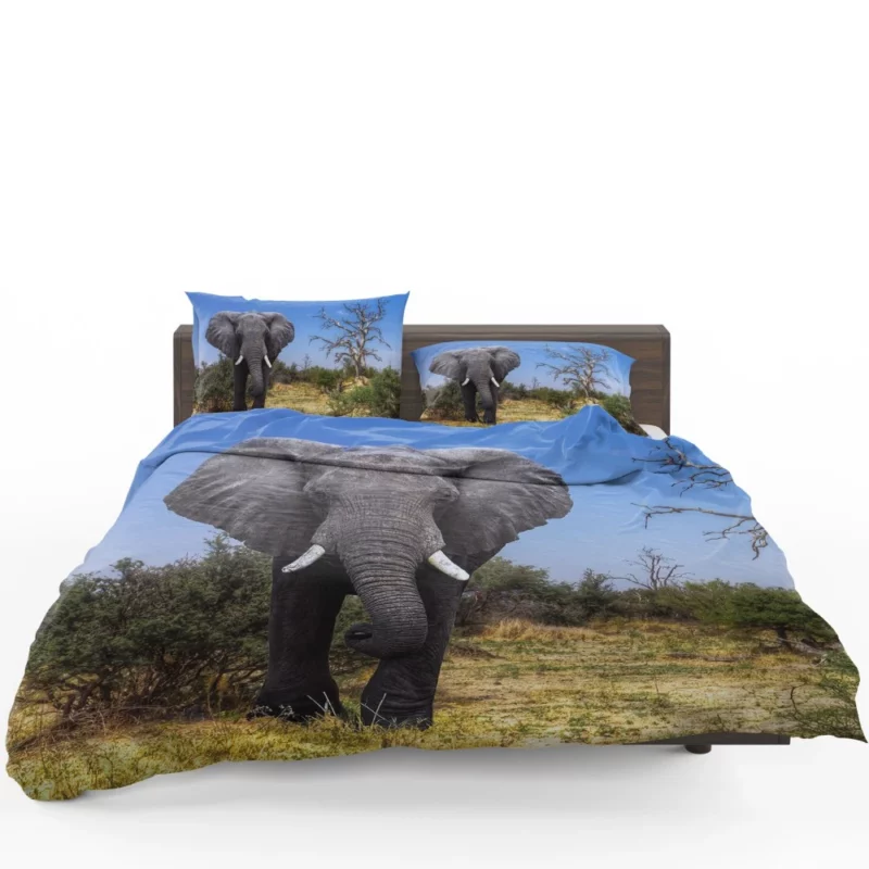 African Bush Elephant Majestic Grace Bedding Set