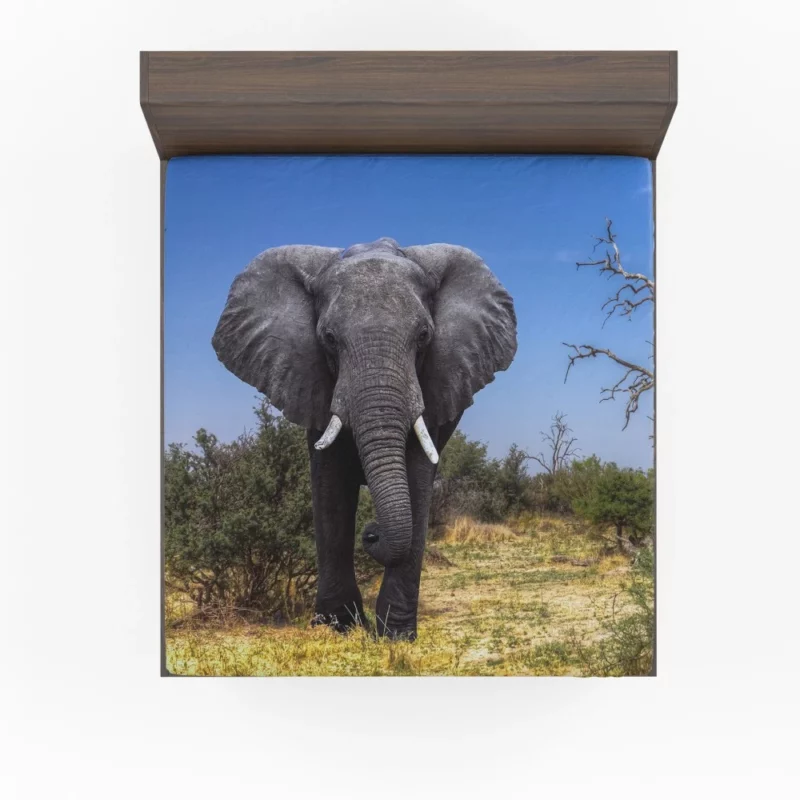 African Bush Elephant Majestic Grace Fitted Sheet 1