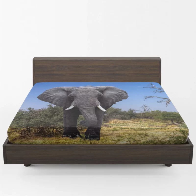 African Bush Elephant Majestic Grace Fitted Sheet