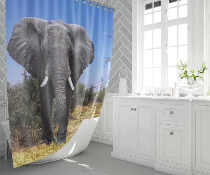 African Bush Elephant Majestic Grace Shower Curtain 1