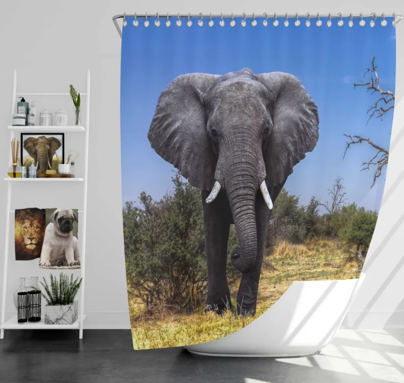 African Bush Elephant Majestic Grace Shower Curtain