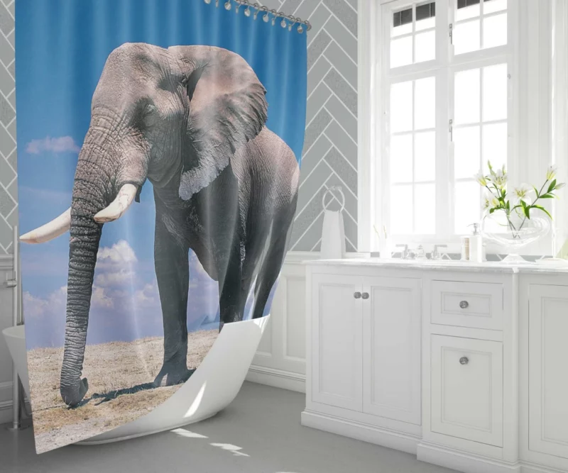 African Bush Elephant Majestic Shower Curtain 1