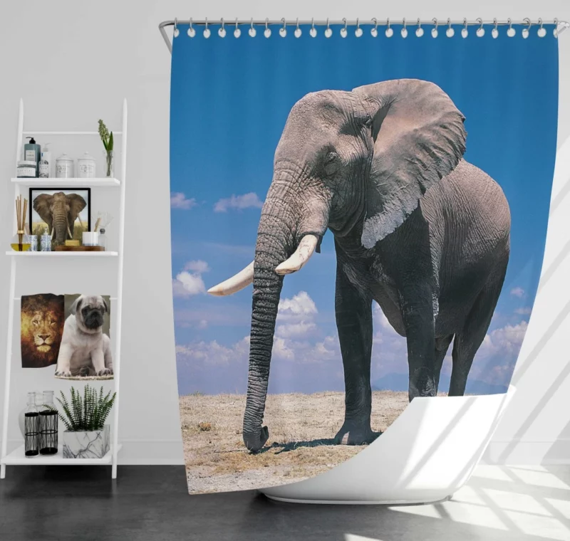 African Bush Elephant Majestic Shower Curtain