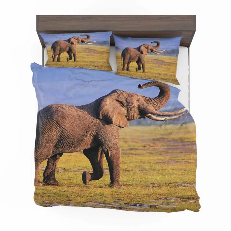 African Bush Elephant Mighty Wilderness Bedding Set 1