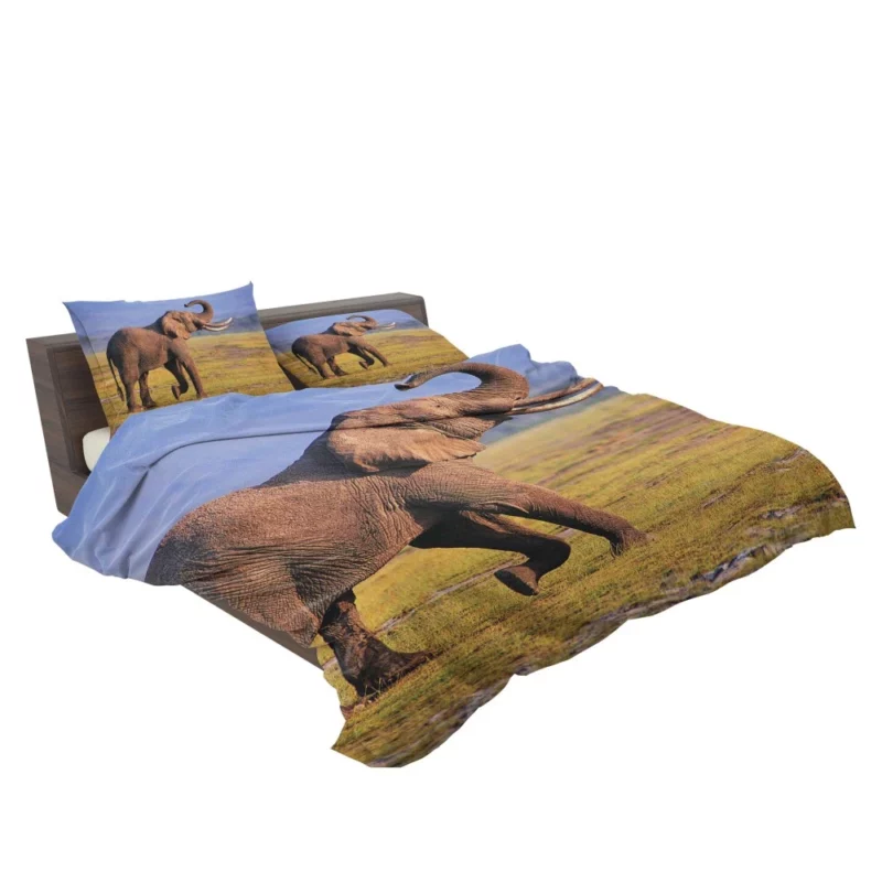 African Bush Elephant Mighty Wilderness Bedding Set 2