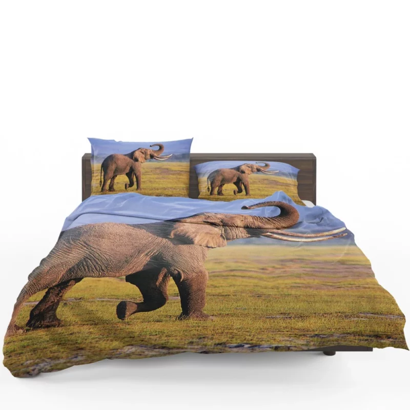 African Bush Elephant Mighty Wilderness Bedding Set