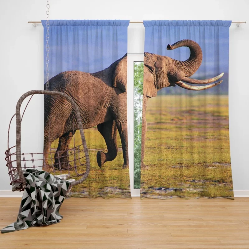 African Bush Elephant Mighty Wilderness Curtain