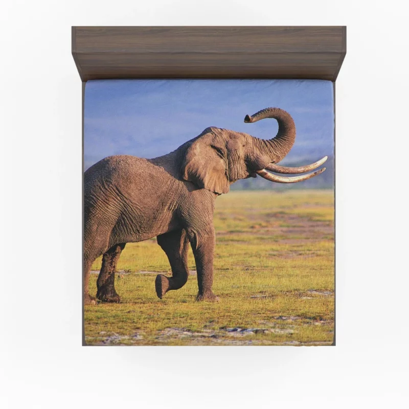 African Bush Elephant Mighty Wilderness Fitted Sheet 1