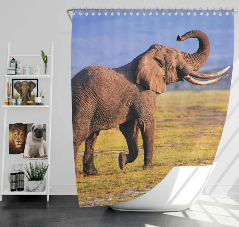 African Bush Elephant Mighty Wilderness Shower Curtain