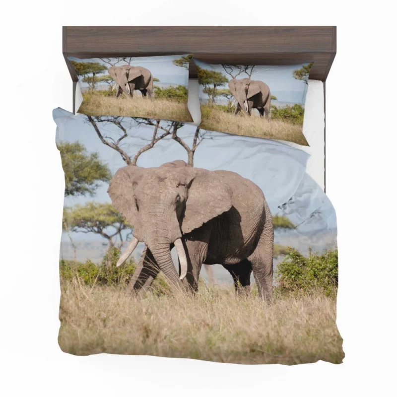 African Bush Elephant Regal Presence Bedding Set 1