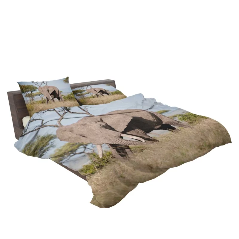 African Bush Elephant Regal Presence Bedding Set 2