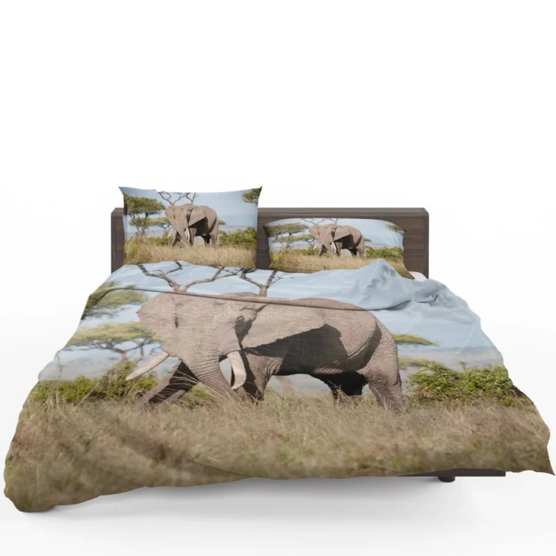 African Bush Elephant Regal Presence Bedding Set