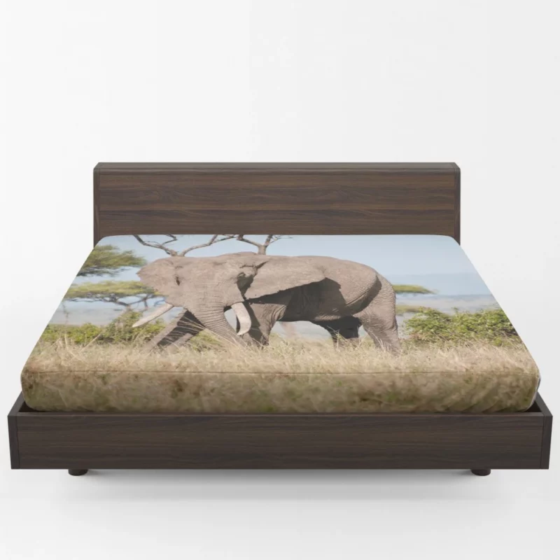 African Bush Elephant Regal Presence Fitted Sheet