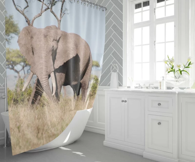 African Bush Elephant Regal Presence Shower Curtain 1