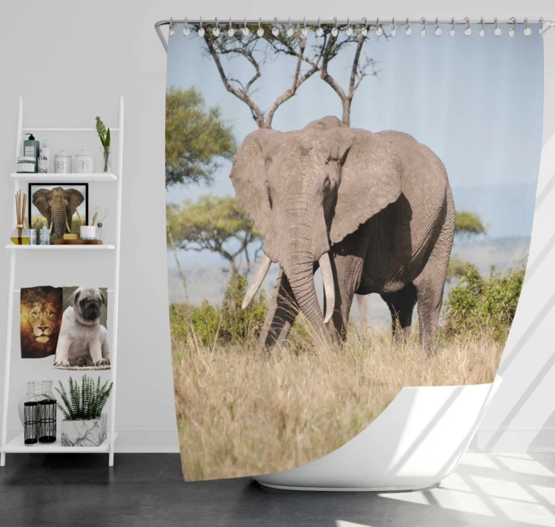 African Bush Elephant Regal Presence Shower Curtain