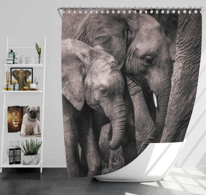 African Bush Elephant Shower Curtain