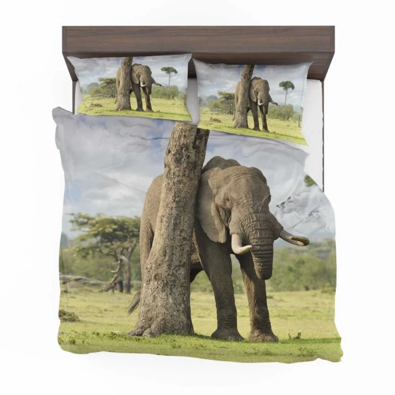 African Bush Elephant Wild Majesty Bedding Set 1