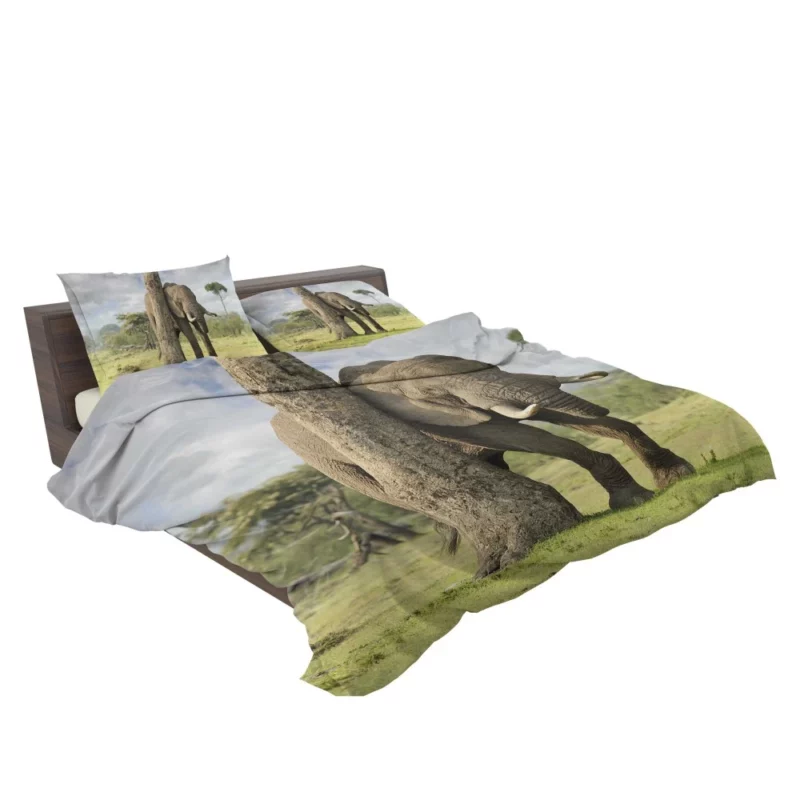 African Bush Elephant Wild Majesty Bedding Set 2