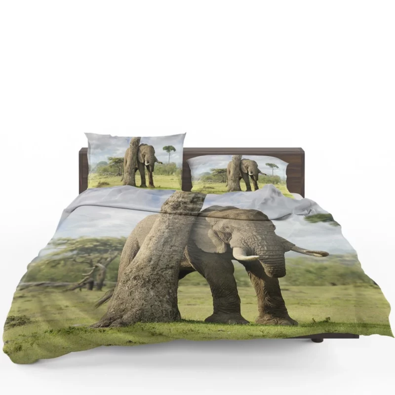 African Bush Elephant Wild Majesty Bedding Set