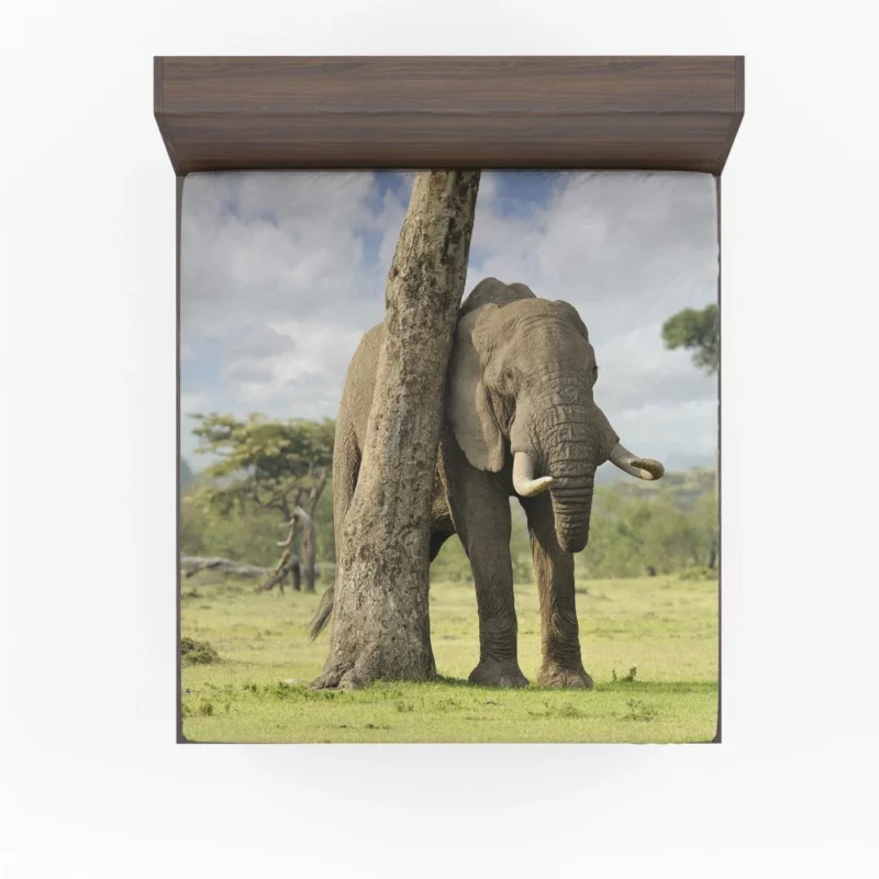 African Bush Elephant Wild Majesty Fitted Sheet 1