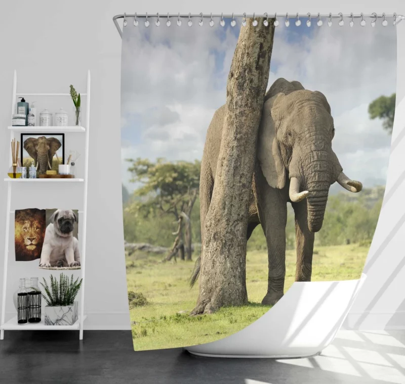 African Bush Elephant Wild Majesty Shower Curtain