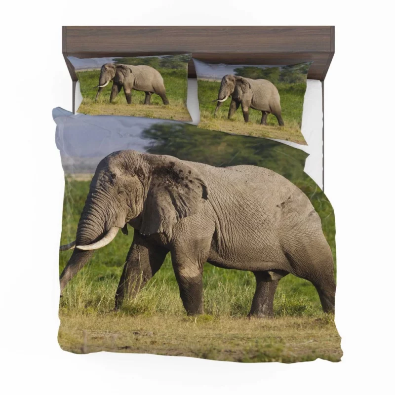 African Bush Elephant Wilderness Majesty Bedding Set 1