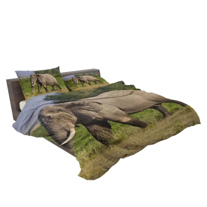 African Bush Elephant Wilderness Majesty Bedding Set 2