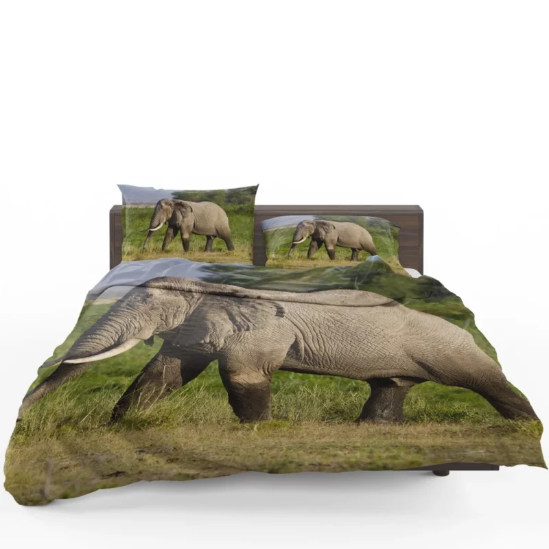 African Bush Elephant Wilderness Majesty Bedding Set