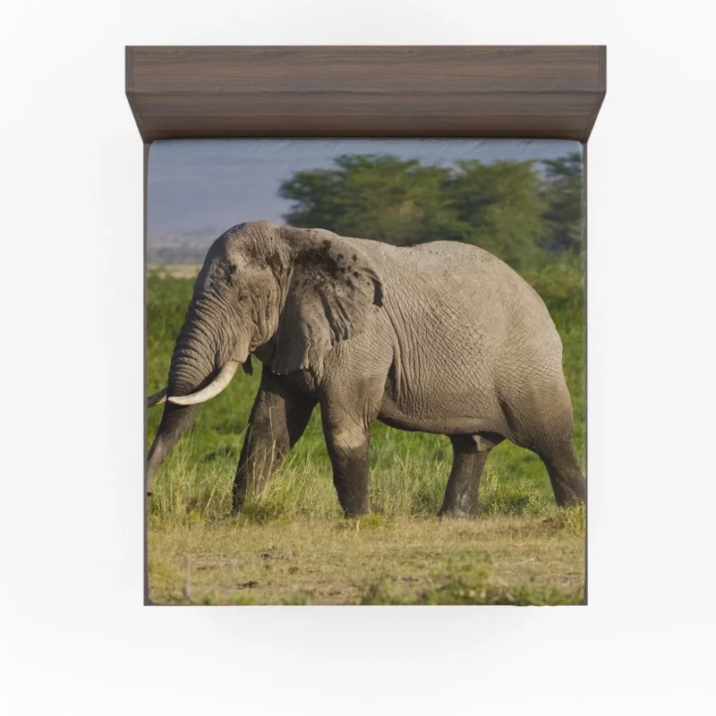 African Bush Elephant Wilderness Majesty Fitted Sheet 1