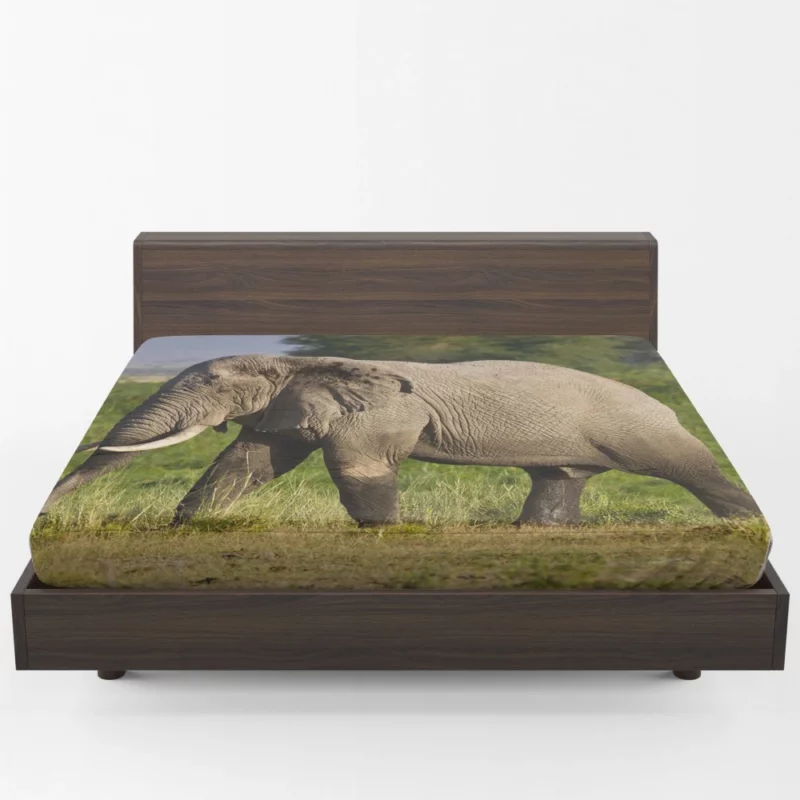 African Bush Elephant Wilderness Majesty Fitted Sheet