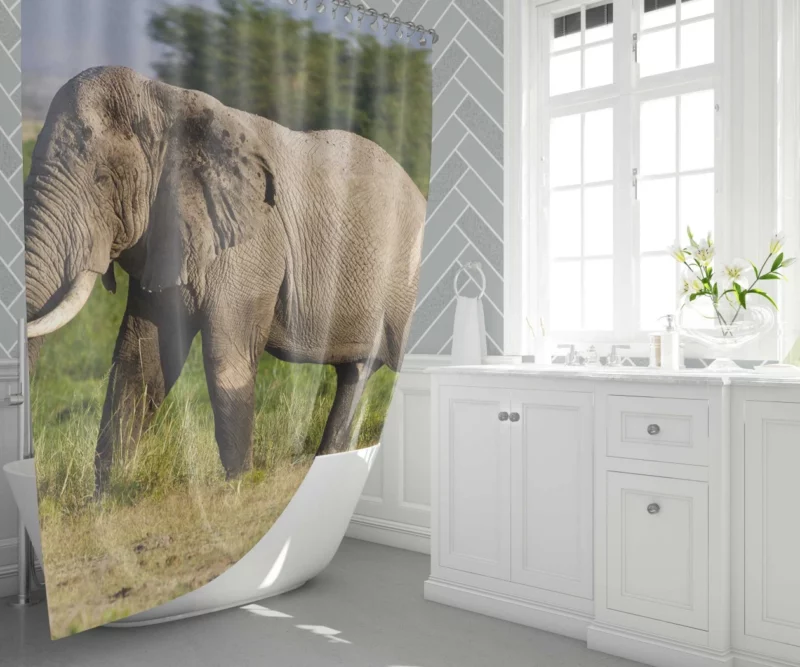 African Bush Elephant Wilderness Majesty Shower Curtain 1