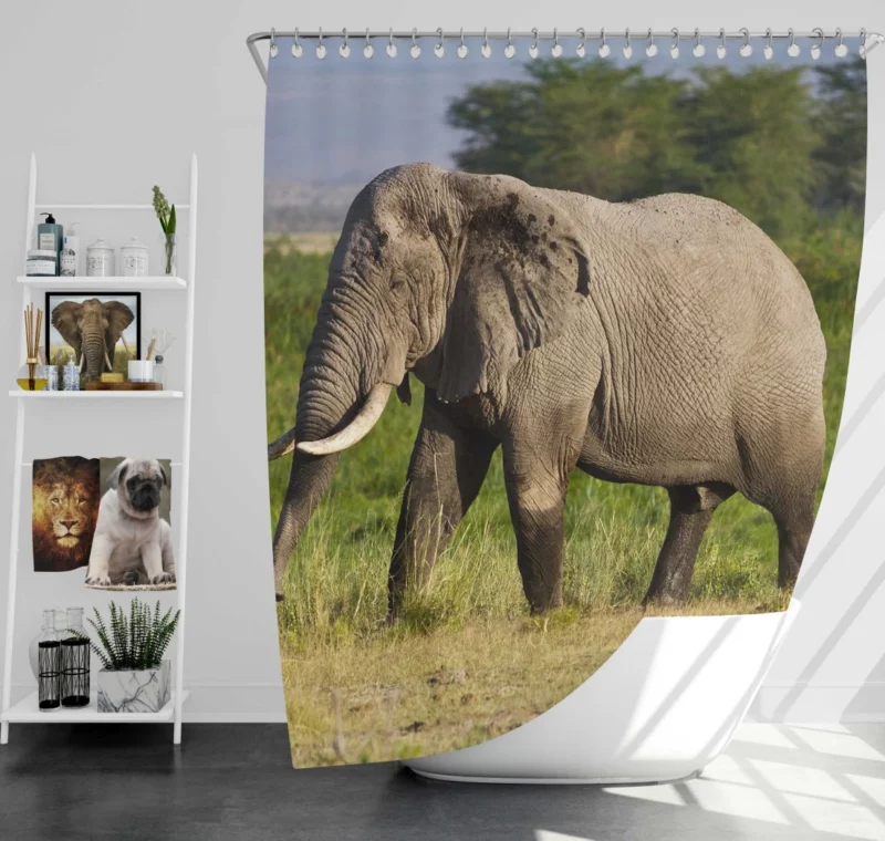 African Bush Elephant Wilderness Majesty Shower Curtain