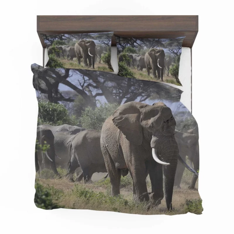 African Elephant Enigmatic Grace Bedding Set 1